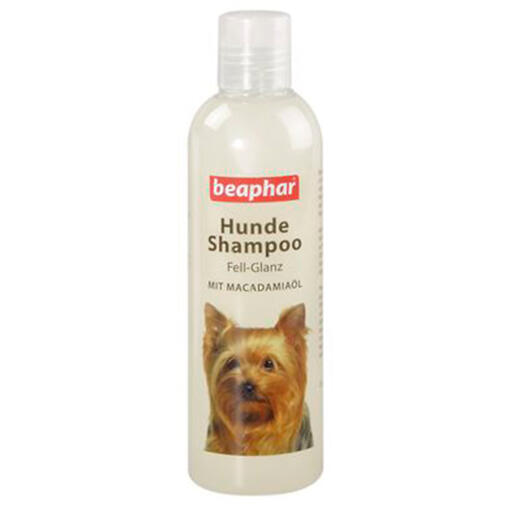 Beaphar shampoo per cani lucentezza del pelo (250ml)