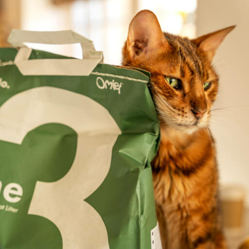 Gatto che si strofina su Omlet 3 pine cat litter bag