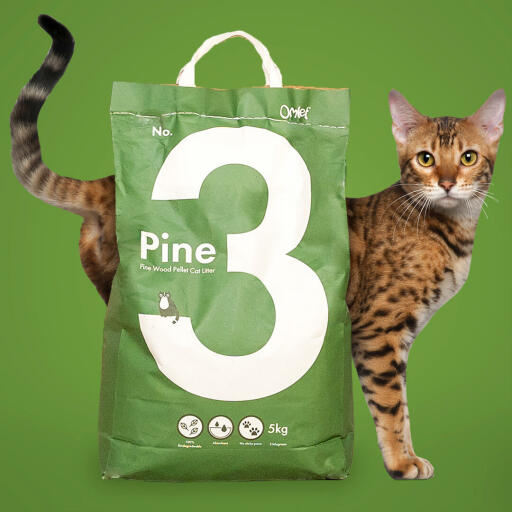 Un sacchetto di lettiera di pino con un gatto dietro.