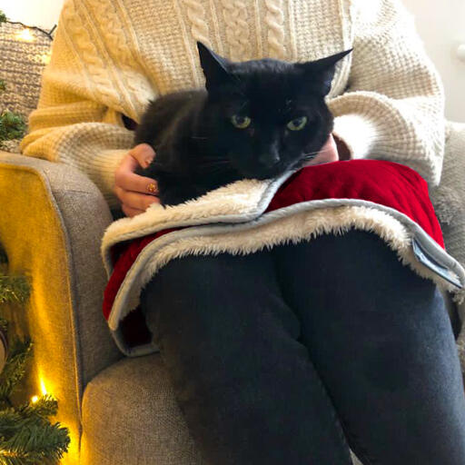 Gatto nero seduto su Luxury cat christmas blanket on person