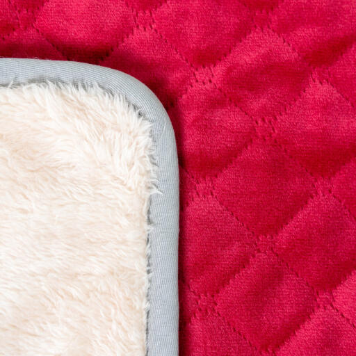 Una foto ravvicinata di una morbida coperta rossa da letto per cani.