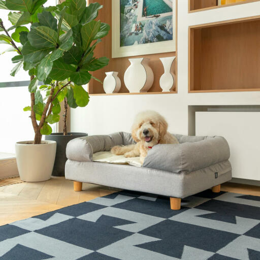 Un cane bianco dorme su una cuccia grigia della Omlet in memory foam