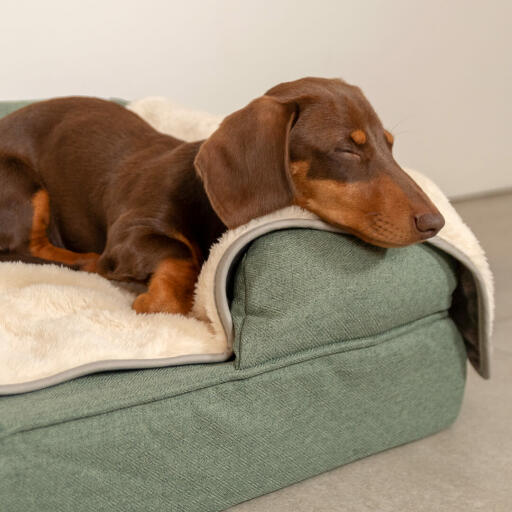 Il tuo cane si godrà un riposante e profondo sonno grazie alla Coperta super soffice.