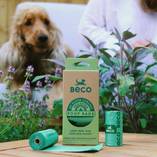 Beco sacchetti per la cacca del cane
