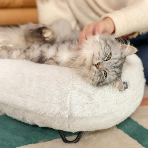 Gatto sdraiato ed essere solleticato su Omlet Maya ciambella gatto letto in Snowpalla bianca e nera piedi tornanti