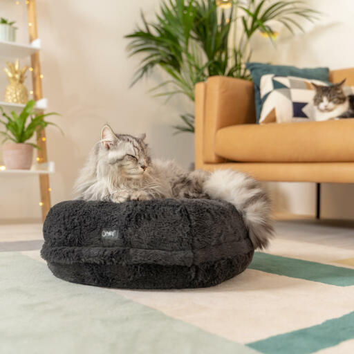 Un gatto si rilassa sulla soffice cuccia maya donut ccolor grigio