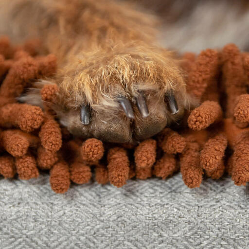 Primo piano di zampa di cane su Omlet Topology letto per cani con topper in microfibra