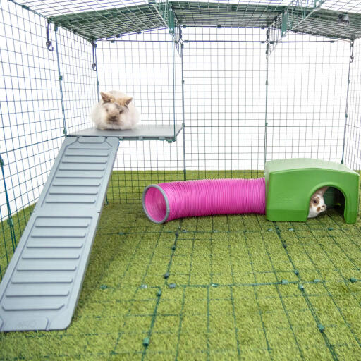Omlet Zippi pista per conigli con piattaforma anGolare, rampa per conigli Zippi e rifugio verde