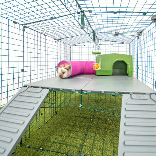 Omlet Zippi box per conigli con piattaforme Zippi, rifugio verde Zippi, tunnel di gioco Zippi e coniglio