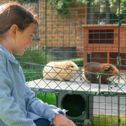 Ai bambini piacerà interagire e creare dei legami con i loro pet a livello degli occhi.