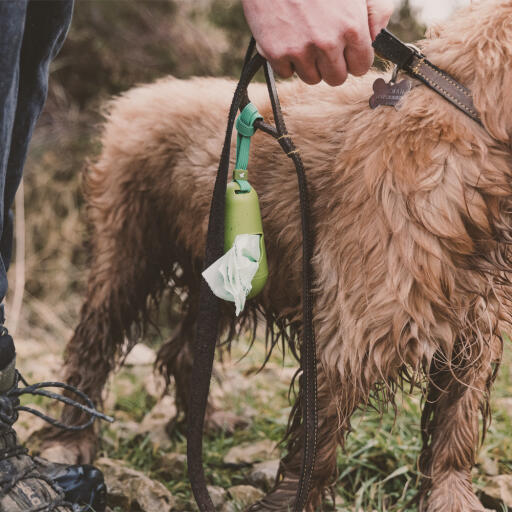 Beco distributore di sacchetti per la cacca del cane attaccato al guinzaglio del cane