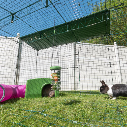 Una pista per conigli Omlet con riparo e tunnel.