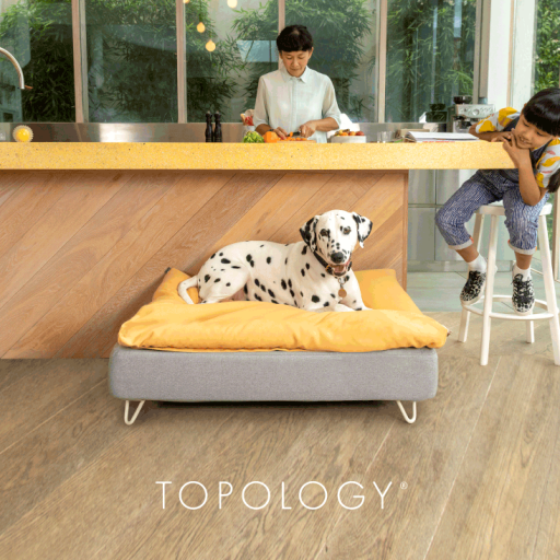 Dalmata sdraiato su Omlet Topology letto del cane con topper beanbag e piedi bianchi tornanti
