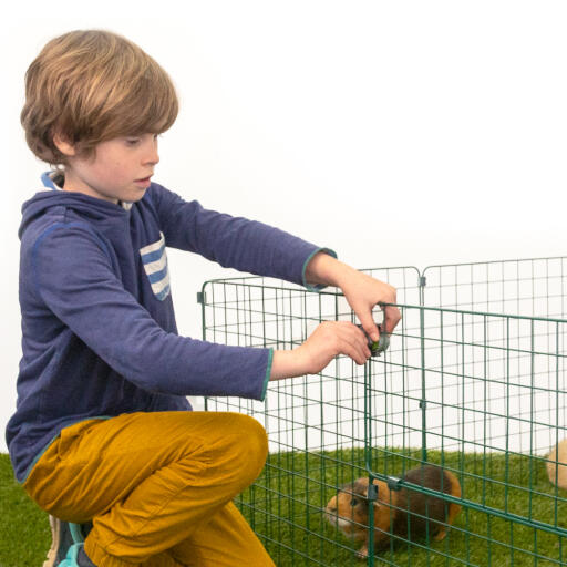 Un ragazzo che mette un lucchetto Zippi su una cavia Zippi run