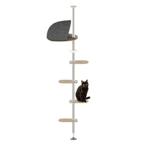 Freestyle pavimento interno a soffitto albero del gatto la scala