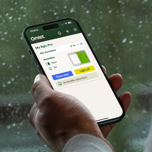 Primo piano della schermata dell'app Omlet 