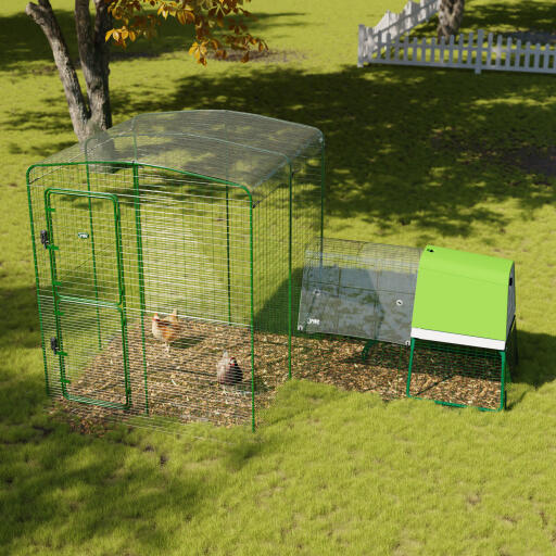 Copertura trasparente per la pista per polli da passeggio in giardino 2x2