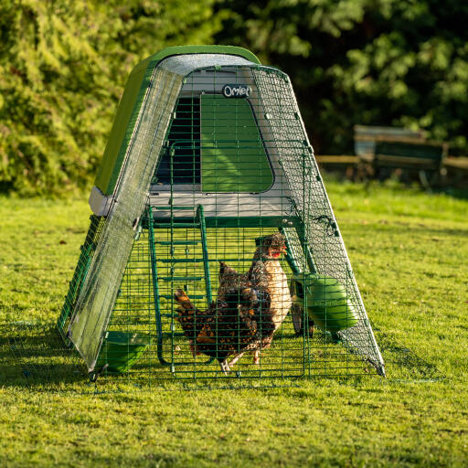 Eglu Go pollaio con copertura trasparente