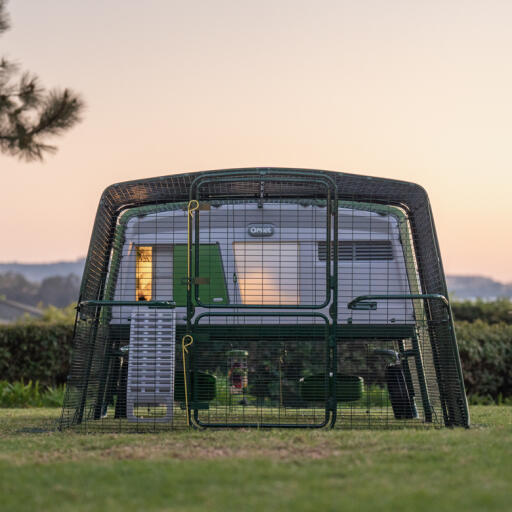 Eglu pollaio professionale con pista al tramonto con luce accesa