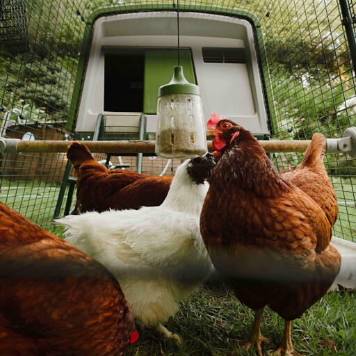 Pendant giocattolo di peck progettato da Omlet