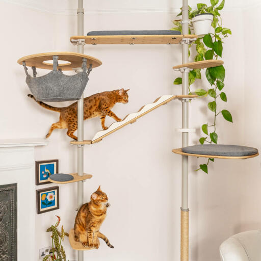 Freestyle albero per gatti da interno