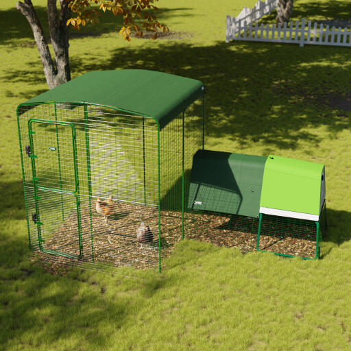 Copertura per galline da cortile per la pista da passeggio in un giardino 2x2
