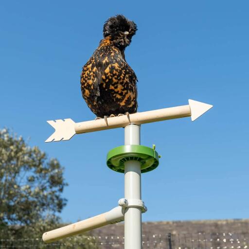 Pollo appollaiato sulla parte superiore della banderuola pollo giocattolo accessorio per il trespolo polli universale free standing