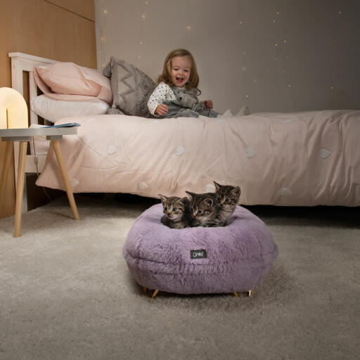 Una bambina che guarda i suoi gattini che dormono nella loro morbida cuccia a ciambella