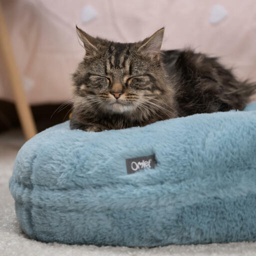 un gatto riposa su una cuccia azzurro tenue