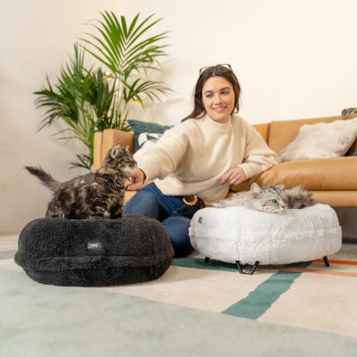 Due gatti nelle loro cucce donut grigio e bianco neve con piedini di design.