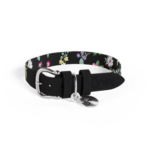 Collare per cani di design midnight meadow medio