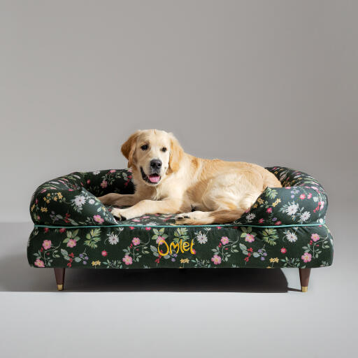 Un Golden retriever che riposa nella cuccia con cuscino midnight meadow