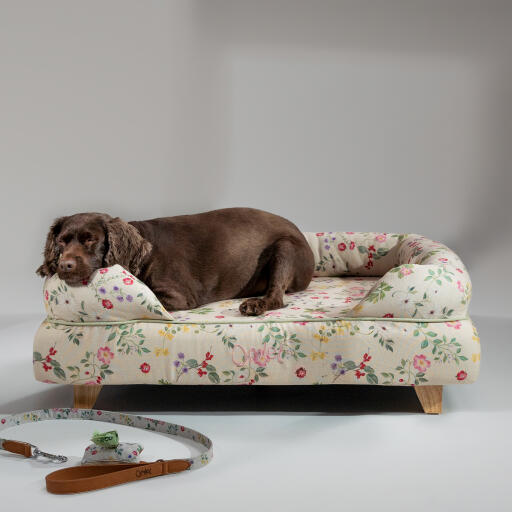 Un cocker spaniel che riposa in cima al letto a bolster in memory foam prato mattutino