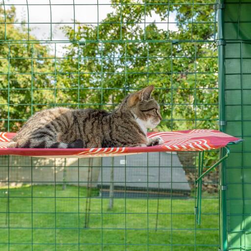 Gatto sdraiato su scaffale rosso impermeabile per gatti all'aperto nel catio