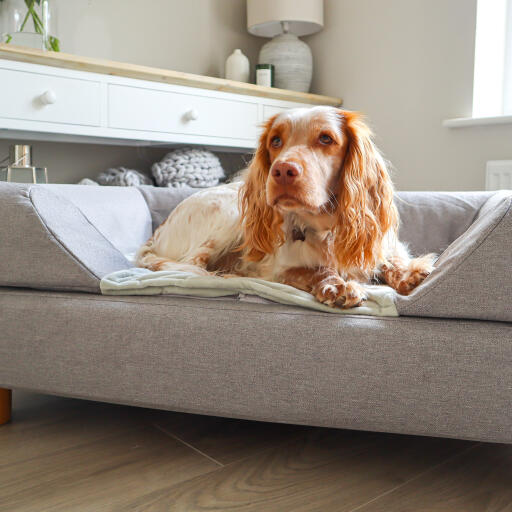 Topology letto per cani con cuscino