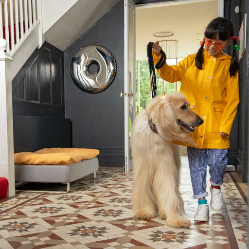 Ragazza che prende il cane per la passeggiata con Omlet Topology letto del cane con topper beanbag e piedi bianchi della guida in background