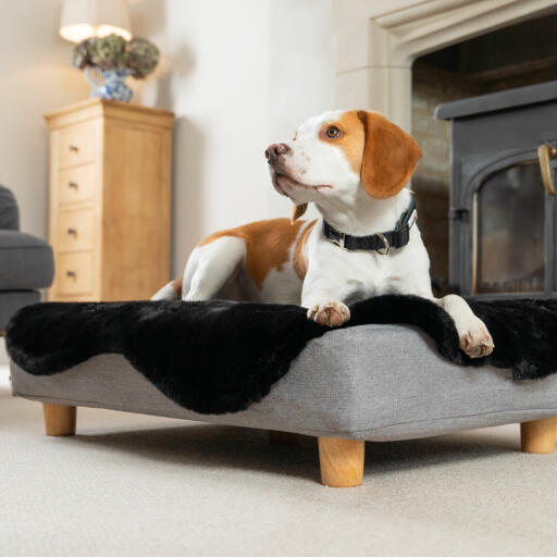 Topper in finta pelle di pecora nera e piedini rotondi in legno per Topology letto per cani
