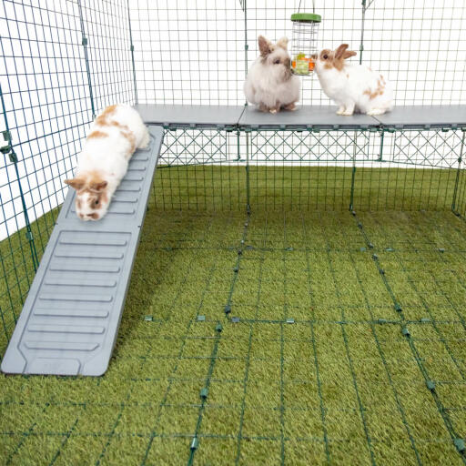 Omlet Zippi box per conigli con Zippi piattaforme, Caddi portaoggetti e tre conigli