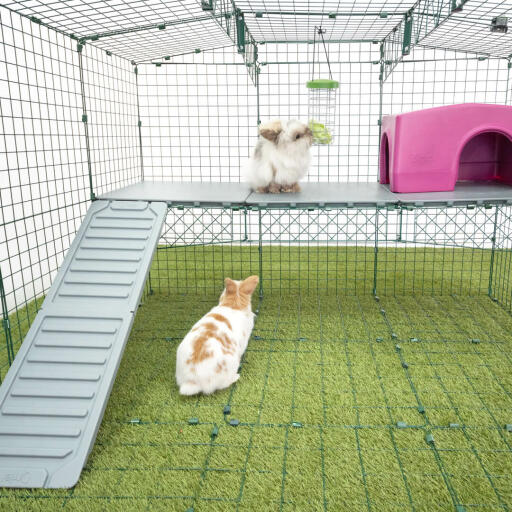 Omlet Zippi box per conigli con Zippi piattaforme, Caddi portaoggetti, Zippi rifugio viola e due conigli