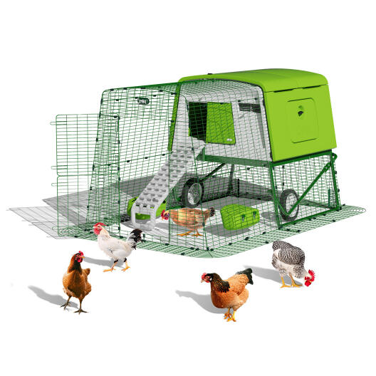 Eglu Cube grande pollaio portatile