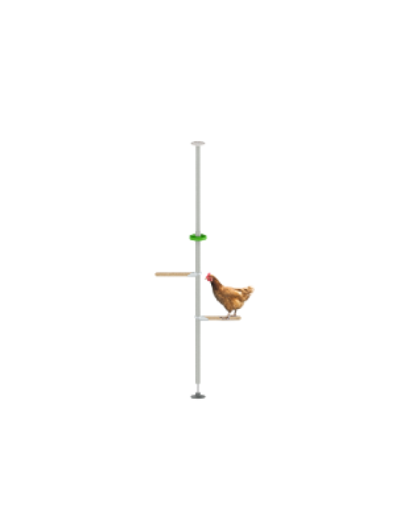 PoleTree Posatoio per galline - Kit Economico - 1.70 - 2.15m