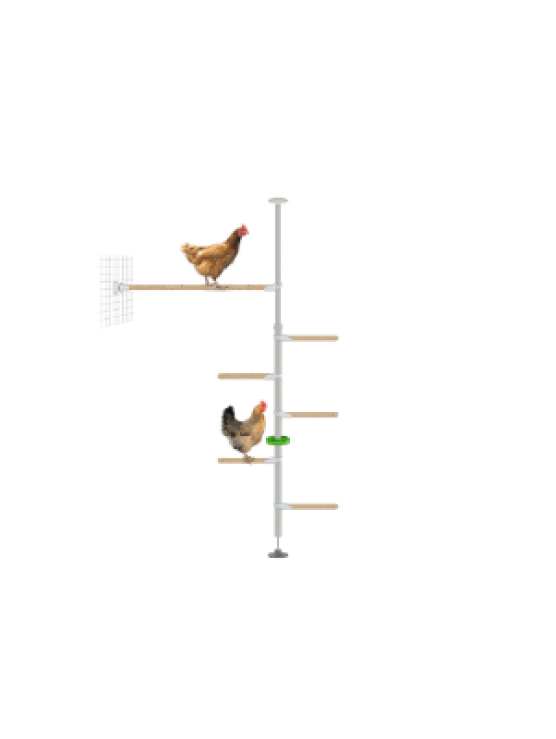 PoleTree Posatoio per galline - Kit Resistenza - 1.70 - 2.15m