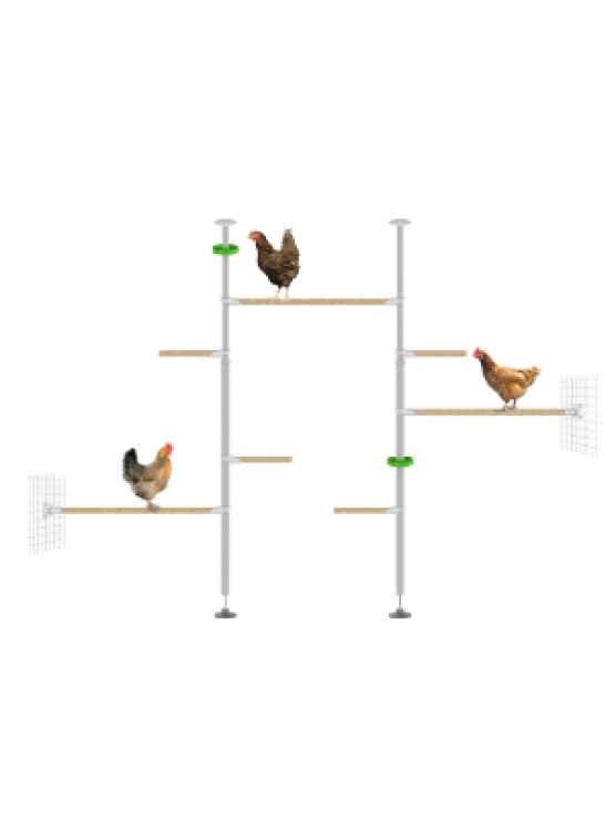 PoleTree Posatoio per galline - Kit Imperdibile - 1.70 - 2.15m