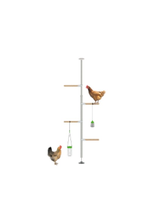 PoleTree Posatoio per galline - Kit Intrattenimento - 1.70 - 2.15m