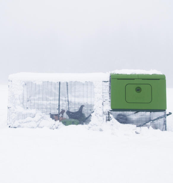 Eglu Cube pollaio nel Snow