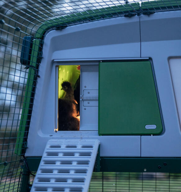 Polli in un pollaio Eglu pro con un Autodoor intelligente e una luce per pollaio