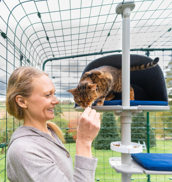 Una donna che accarezza il suo gatto sull'albero dei gatti Freestyle 