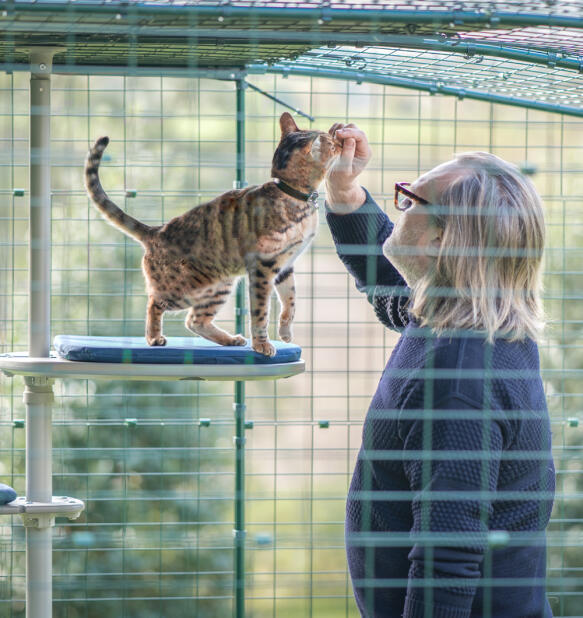 Un uomo che trascorre del tempo con il suo gatto sull'albero per gatti all'aperto Freestyle 