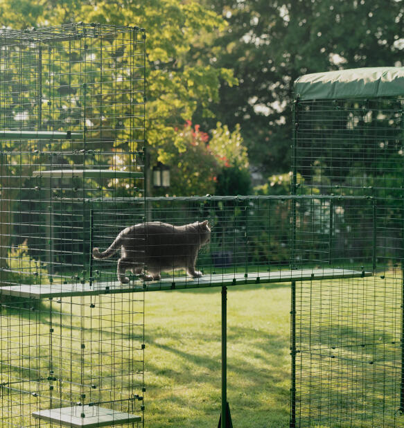 Gatto su passerella tunnel durevole e resistente alle intemperie Omlet catio
