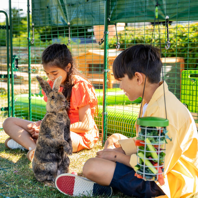 Bambini e conigli che giocano all'interno di una grande conigliera all'aperto